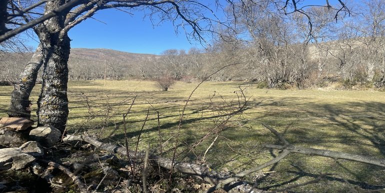 Finca rustica Bustarviejo - foto 5